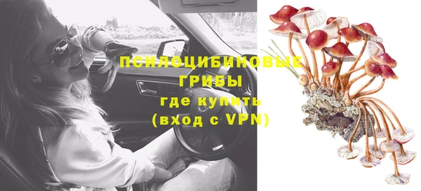 альфа пвп Снежногорск