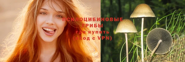 альфа пвп Снежногорск
