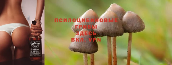 прущая мука Снежинск