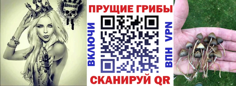купить наркотики сайты  кракен   Галлюциногенные грибы Magic Shrooms  Гагарин 