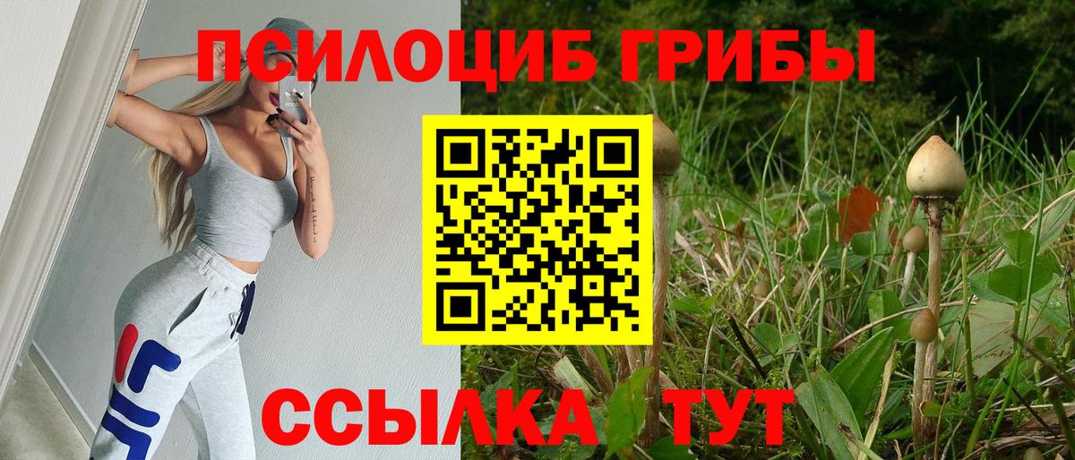 Псилоцибиновые грибы Cubensis Гагарин