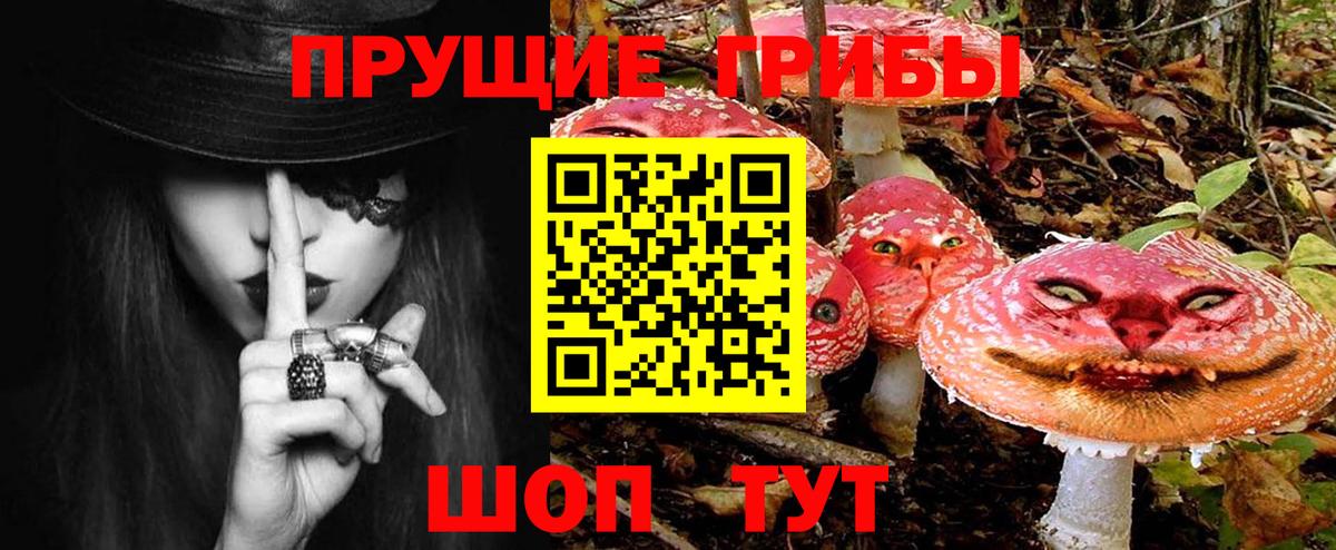 Псилоцибиновые грибы GOLDEN TEACHER  Вход с VPN  Гагарин 